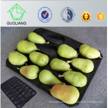 China Factory Directly Sell Vacuum Forming Cushioning Alveolar Fruit Plastic Trays Packaging in Standard Food Safety Grade